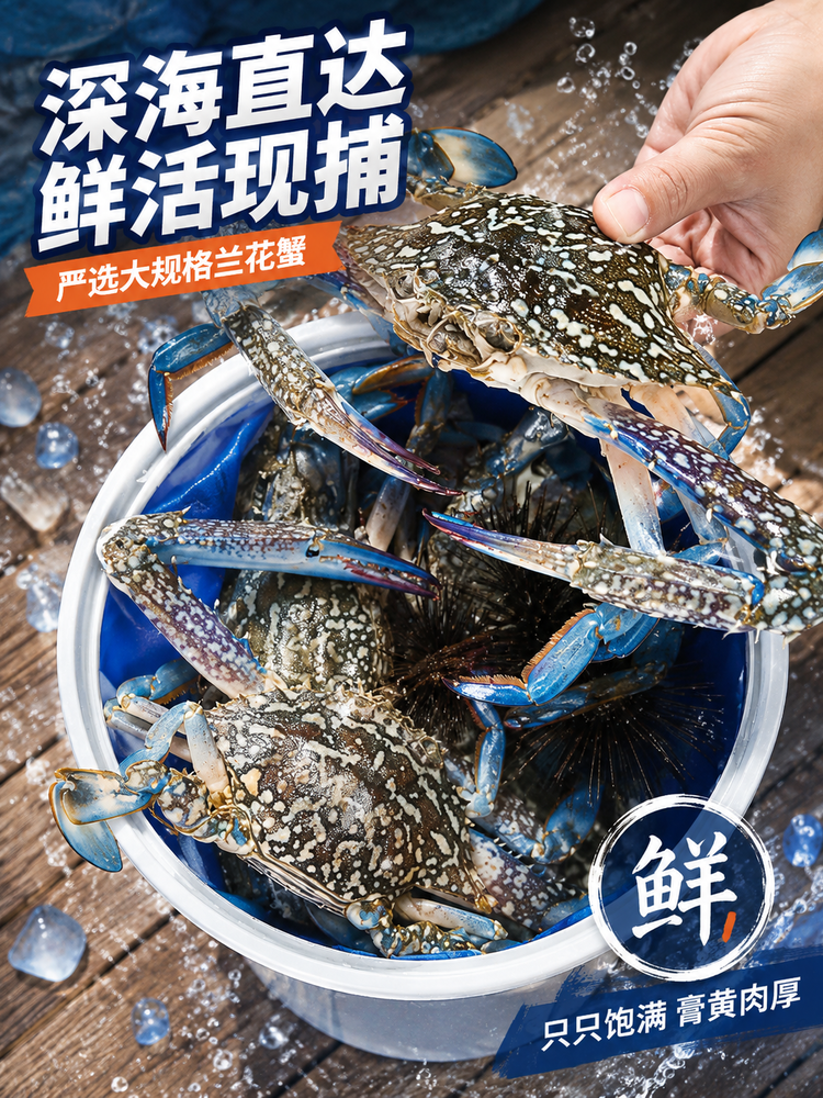 海鲜水产包装设计与鲜香海报灵感-4