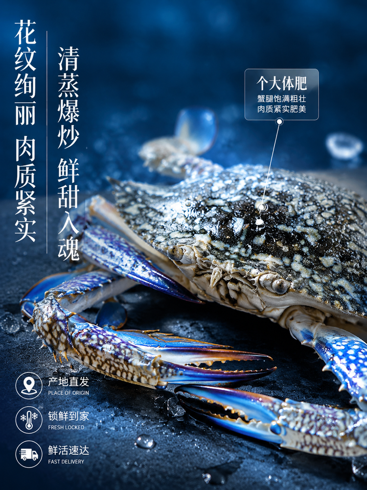 海鲜水产包装设计与鲜香海报灵感-3